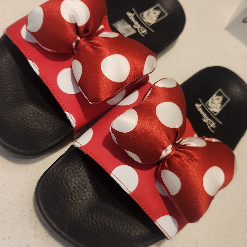 Vans Minnie Mouse Women Slip Ons Limited Edition